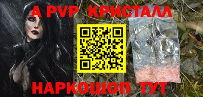шишки Майкоп