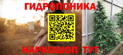прущие крисы Комсомольск-на-Амуре