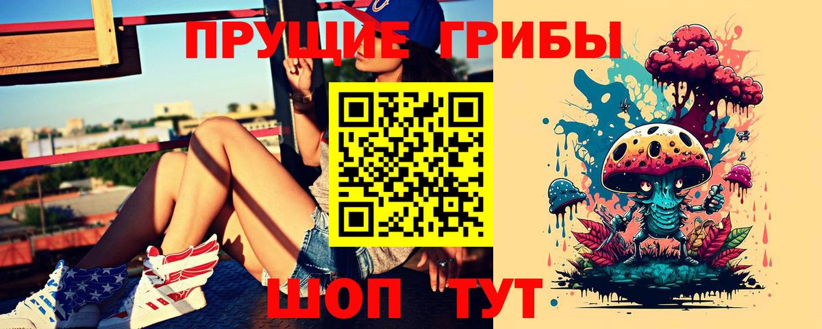 Галлюциногенные грибы MAGIC MUSHROOMS  купить закладку  Галлюциногенные грибы Psilocybe  Красноярск  Вход с VPN 